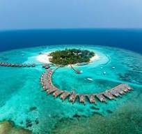 Maldives Snorkelling and Diving Guide | Sort My Trip